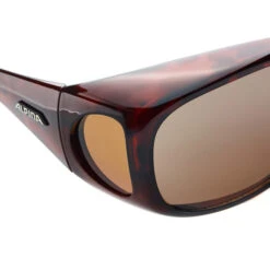 Alpina OVERVIEW Unisex Schutzbrille HAVANNA -Sport Im Freien 133432005 e overview alpina