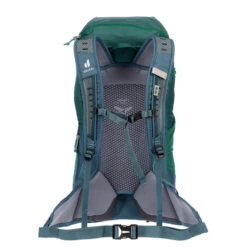 Deuter AC LITE 30 Tagesrucksack ALPINEGREEN-ARCTIC -Sport Im Freien 5638024287 c ac lite 30 deuter 24